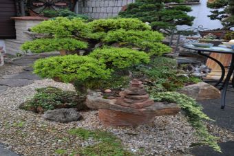 Penjing Garten 02