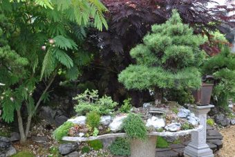 Penjing Garten 08