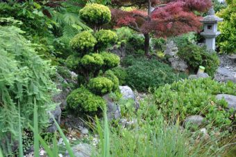 Penjing Garten 11