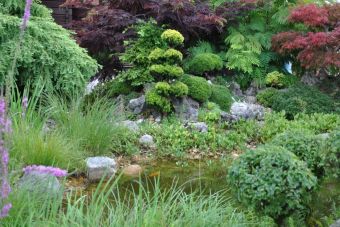 Penjing Garten 12