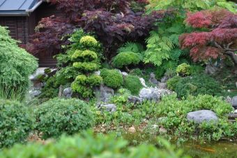 Penjing Garten13