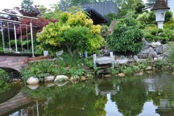 Penjing Garten 14