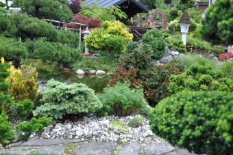 Penjing Garten 15