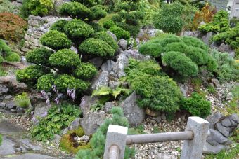 Penjing Garten 17