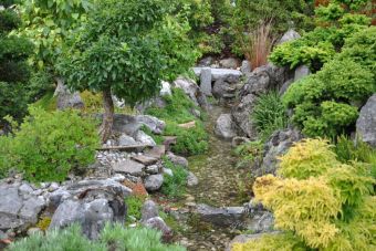 Penjing Garten 19