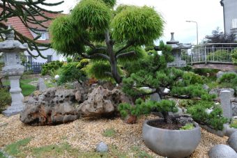 Penjing Garten  20