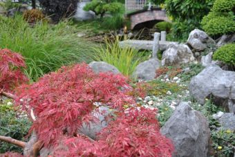 Penjing Garten 23