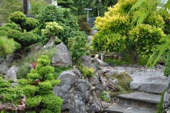 Penjing Garten29