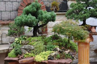 Penjing Garten 30